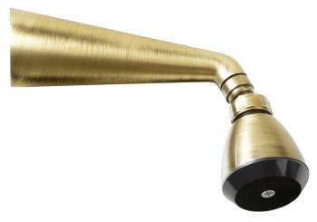 SAPHO - Nástenná sprcha s otočným kĺbom, bronz 9046