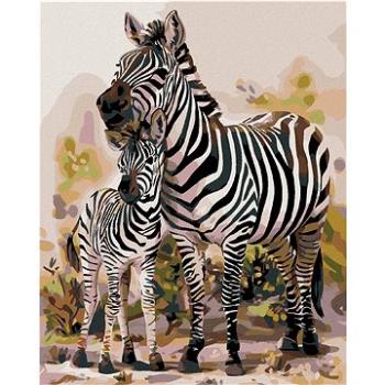 Maľovanie podľa čísel – Zebra s mláďaťom (HRAmal00224nad)