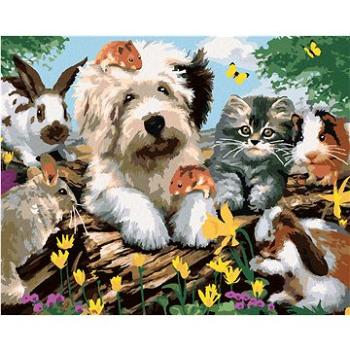 Maľovanie podľa čísel – Pes, mačka a hlodavce na pni (Howard Robinson) (HRAbz33405nad)