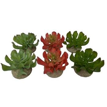 Ebi Terra Della Dekorácia do terária Echeveria mix farieb 8,5 × 8 × 5,8 cm (4047059465844)