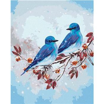 Maľovanie podľa čísel – Dva modré vtáčiky na konári (HRAbz33339nad)