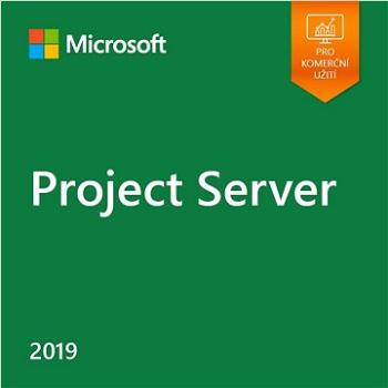 Microsoft Project Server 2019 (elektronická licencia) (DG7GMGF0F4MH)
