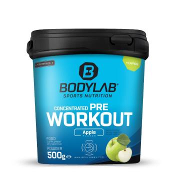 Bodylab24 Concentrated Pre Workout 500 g