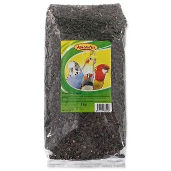 Slunečnice AVICENTRA černá - KARTON (8ks) 1 kg