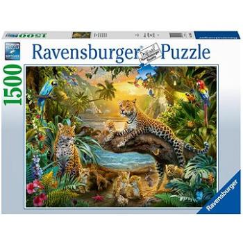 Ravensburger Puzzle 174355 Savana 1500 Dielikov (4005556174355)