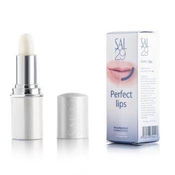 Dermaheal SAL 29 Perfect lips 4g