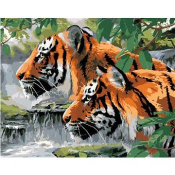 Maľovanie podľa čísel – Striehnuce tigre pri rieke (Howard Robinson) (HRAbz33450nad)