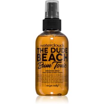 Waterclouds The Dude stylingový sprej na vlasy 150 ml