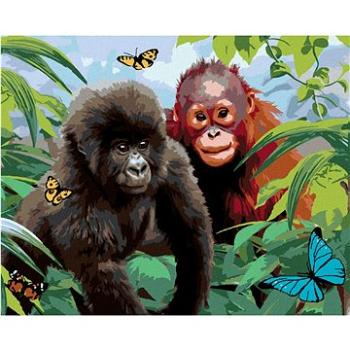 Maľovanie podľa čísel – Orangutan a malá gorila (Howard Robinson) (HRAbz33485nad)