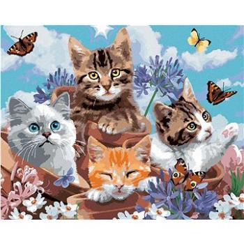 Maľovanie podľa čísel – Mačky v kvetináčoch a motýliky (Howard Robinson) (HRAbz33482nad)