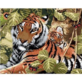 Maľovanie podľa čísel - Tiger a mláďa medzi listami (Howard Robinson) (HRAbz33383nad)