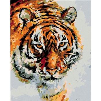 Maľovanie podľa čísel – Tiger na snehu (HRAmal01135nad)