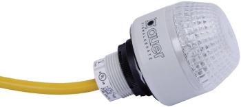 Auer Signalgeräte signalizačné osvetlenie LED IMM 801550405 červená, žltá, zelená  trvalé svetlo 24 V/DC, 24 V/AC