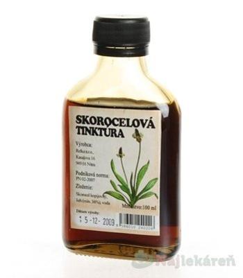 Prír. farmácia Kostihojová tinktúra 100 ml