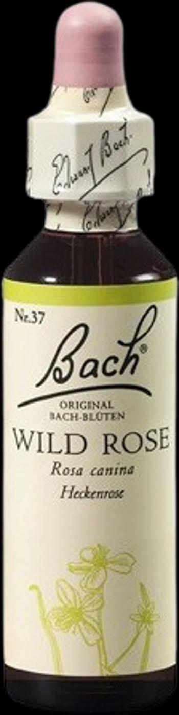 Dr. Bach® Wild Rose - Ruža šípová 20 ml