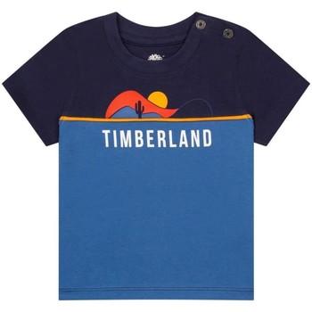 Timberland  Bundy Windstopper -  Modrá