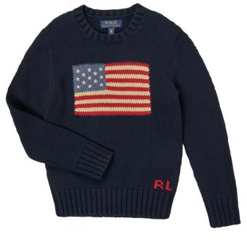 Polo Ralph Lauren  ODIN  Svetre Námornícka modrá