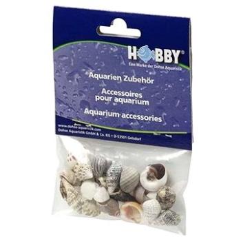 Hobby Sea Shells Sada S 20 ks (4011444402219)