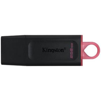 Kingston DataTraveler Exodia 256 GB (DTX/256GB)