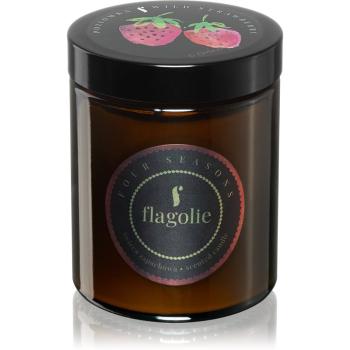 Flagolie Four Seasons Wild Strawberry vonná sviečka 120 g