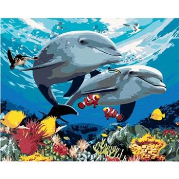 Maľovanie podľa čísel – Delfíny a koralový útes (Howard Robinson) (HRAbz33436nad)