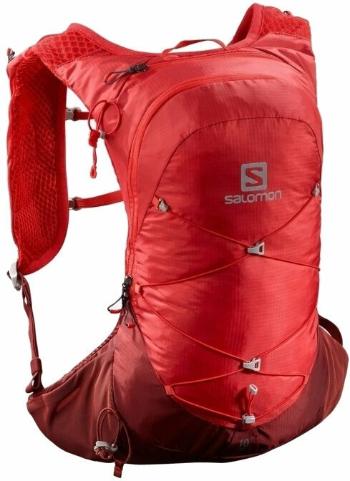 Salomon XT 10 Goji Berry/Madder Brown