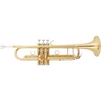 BACIO INSTRUMENTS BTR-01L (HN212200)