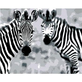 Maľovanie podľa čísel – Pruhované zebry (HRAmal01025nad)