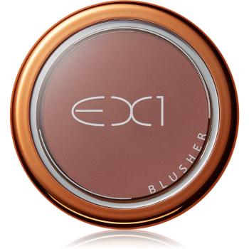 EX1 Cosmetics Blusher lícenka odtieň Jet Set Glow 3 g