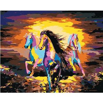 Maľovanie podľa čísel - Farebné stádo koní (HRAbz33543nad)