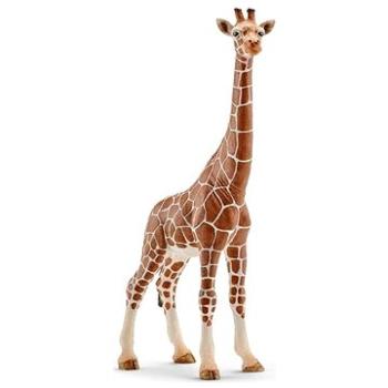 Schleich 14750 - Samice žirafy (4005086147508)