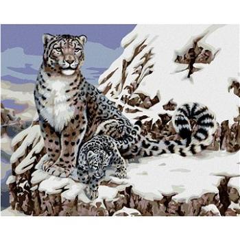 Maľovanie podľa čísel - Leopard snežný s mláďaťom (Howard Robinson) (HRAbz33378nad)