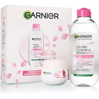 Garnier Skin Naturals darčeková sada (pre dokonalú pleť)