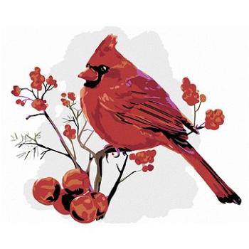 Maľovanie podľa čísel – Červený vtáčik v jarabinách (HRAmal00719nad)