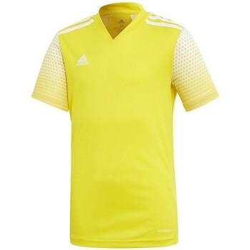 adidas  Tričká s krátkym rukávom Regista 20 Jersey  Žltá