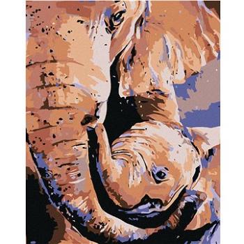 Maľovanie podľa čísel – Slonica a sloníča (HRAmal01105nad)