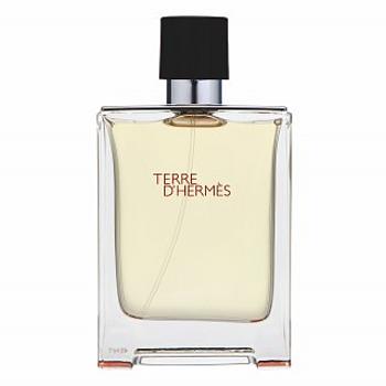 Hermes Terre D'Hermes toaletná voda pre mužov 100 ml