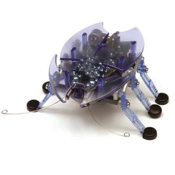 Hexbug Beetle – modrý (745178584173)