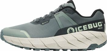 Icebug Arcus Womens RB9X GTX Green/Stone 37