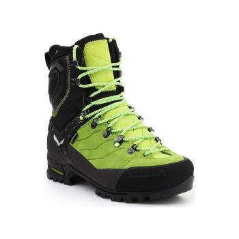 Salewa  MS Vultur EVO GTX 61334-0916  Turistická obuv Viacfarebná