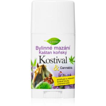 Bione Cosmetics Cannabis Kostival relaxačný masážny balzam v tyčinke 45 ml