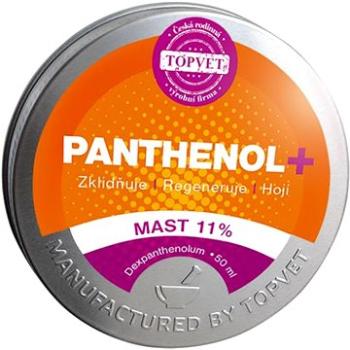 PANTHENOL + MASŤ 11 % (692)