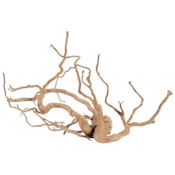 Zolux Spider root prírodné naplavené drevo +60 cm (3336023560540)