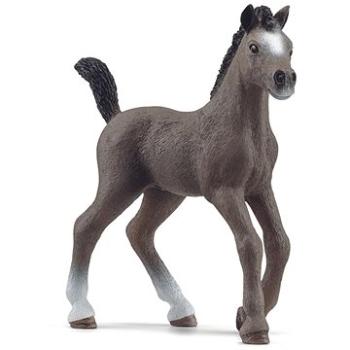 Schleich Žriebä plemena Selle Français (4059433578736)