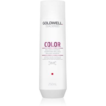 Goldwell Dualsenses Color šampón pre ochranu farbených vlasov 250 ml