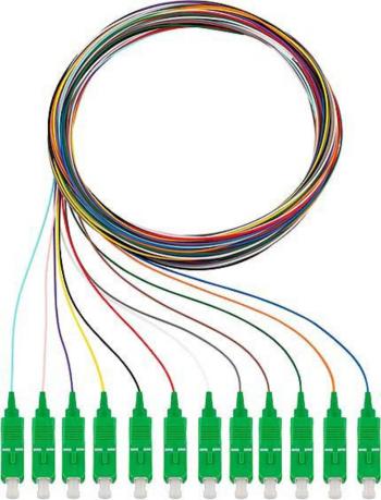 Rutenbeck 228040902 optické vlákno LWL prepojovací kábel [12x zástrčka SC - 12x kábel, otvorený koniec]  Singlemode OS2