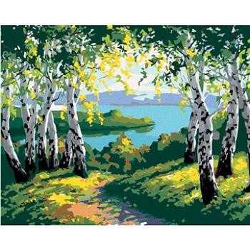 Maľovanie podľa čísel – Jesenná lesná krajina s brezami a riekou (HRAbz33197nad)