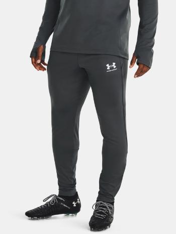 Under Armour Train Tepláky Šedá