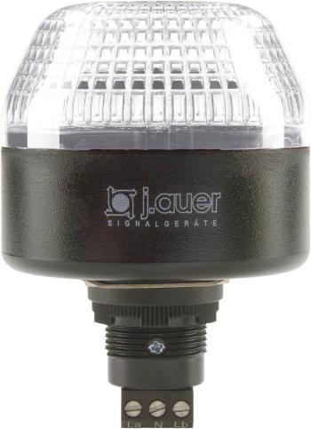 Auer Signalgeräte signalizačné osvetlenie LED IBL 802504313 číra  trvalé svetlo, blikajúce 230 V/AC