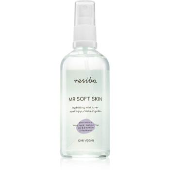 Resibo Mr Soft Skin Hydrating Mist Toner rozjasňujúce a hydratačné pleťové tonikum 100 ml